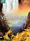 Yellowstone -  Battle for Life